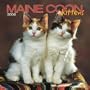 Maine Coon Cat Kittens 2008 Mini Wall Calendar (German, French, Spanish and English Edition)
