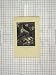 Antique Print Birds Tree Flowers Garden Nature