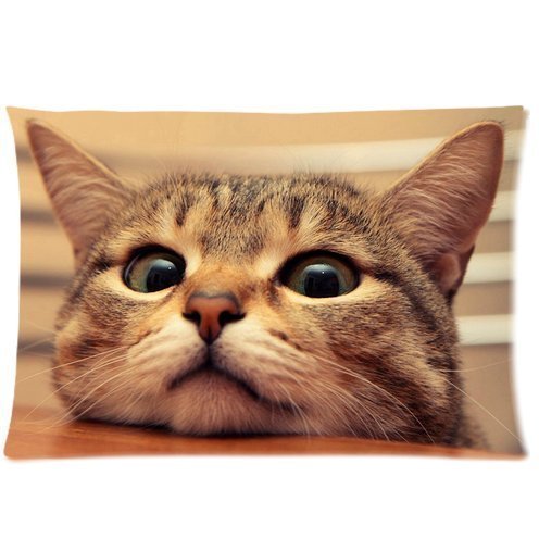 Cute kitten lovely cat Zippered Pillowcase, Twin Sides Pillowcase Pillow Cover 20x30 inches