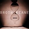 Image of album by Brother Cane