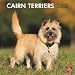 Cairn Terriers 2012 Wall Calendar 12