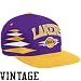 Los Angeles Lakers Mitchell & Ness Diamonds Are Forever Snapback Hat