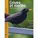 Grives et merles