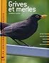 Grives et merles