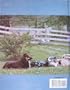 All About Aussies: The Complete Handbook on Australian Shepherd Dogs