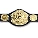 Ringside Economy Championship Belt, Multi, 80 lbs