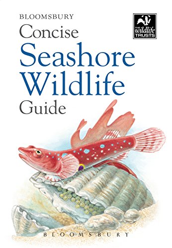 Concise Seashore Wildlife Guide (New Holland Concise Guide)
