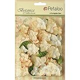 Floral Embellishments Velvet Hydrangeas With Glitter 36/Pkg-Cream
