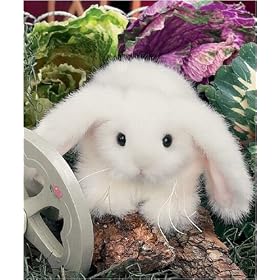 Bunnykin 6