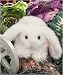 Bunnykin 6