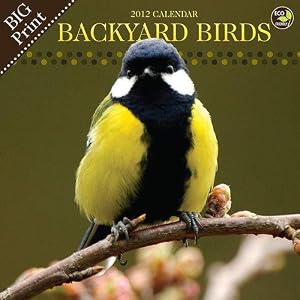 Backyard Birds Big Print 2012 Wall Calendar