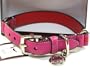 COACH Striped Multicolor Leather Collar with Engraveable Charm 60407 Limited Edition - Coral/Magenta, Medium (13.5"-16.5")
