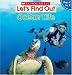 Ocean Life (Let's Find Out)
