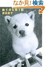 捨て犬を救う街