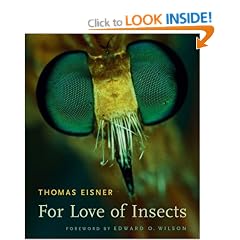 For Love of Insects