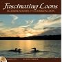 Fascinating Loons: Alluring Sounds of the Common Loon