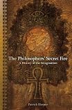 The Philosophers Secret Fire : A History of the Imagination