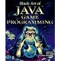 Black Art of Java Game Programming