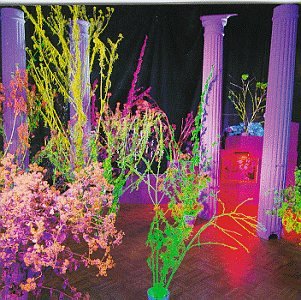 CD-Charts  Music : Warehouse Songs and Stories