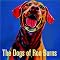 Gone to the Dogs!