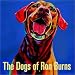 The Dogs of Ron Burns