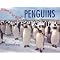 Ode to the Penguin