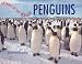 Books : Penguins (Animals of the Oceans)