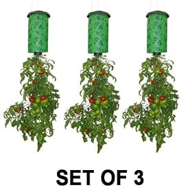 As Seen On TV - Jardini�re � l'envers Felknor Ventures Topsy Turvy 82506 pour tomates (Ensemble de 3)