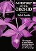 Orchids Really Are Beautiful