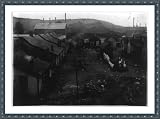 Historic Print (M): Housing conditions Adelaide Mill. The village is run down and greatly in need of sanitar