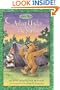 Asleep Under the Stars (Maurice Sendak's Little Bear) (Festival Reader)