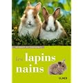 Les lapins nains