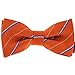 Tok Tok Designs® Handmade Boys Bow Ties - BK144 (Orange)