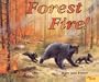 Forest Fire