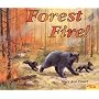 Forest Fire