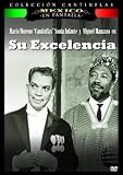 Su Excelencia