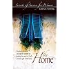 Secrets of Success for Woman: The Home (Secrets of Success for Women)