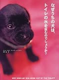 なぜうちの犬は、トイレの水を飲むのでしょうか?