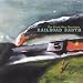 Railroad Earth-Black Bear Sessions