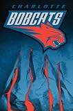 Charlotte Bobcats Logo Poster 3617