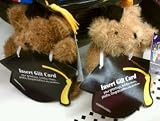 Graduation Teddy Bear Gift Card Holder(Assorted Colors)