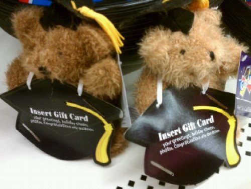 Graduation Teddy Bear Gift Card Holder(Assorted Colors)