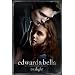 Twilight People Poster Print, 24x36