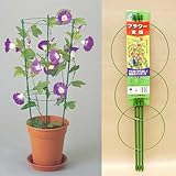 ニチカン　フラワー支柱（中）60cm　お得な5本セット