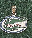 Florida Gators Enamel Gator Head 1/2 Charm - Sterling Silver Jewelry