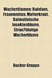 Wucherblumen: Rainfarn, Frauenminze, Mutterkraut, Dalmatinische Insektenblume, Straussblutige Wucherblume