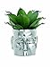 Ceramic Face Vase Planter Pot by Torre & Tagus | Large Indoor Plant Pot & Flower Vase | Unique Decorative Succulent Pots for Indoor Plants | Head-Shaped Flower Pot for Centerpiece | Chrome, 8” Tall