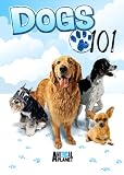 Dogs 101 [DVD] [Import]