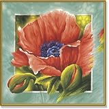 Schipper 609250408 - Malen nach Zahlen - Klatschmohn, 40x40cmvon "Noris"