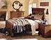 6/6 King Panel Bed by Kincaid - Natural Wood (96-132P)